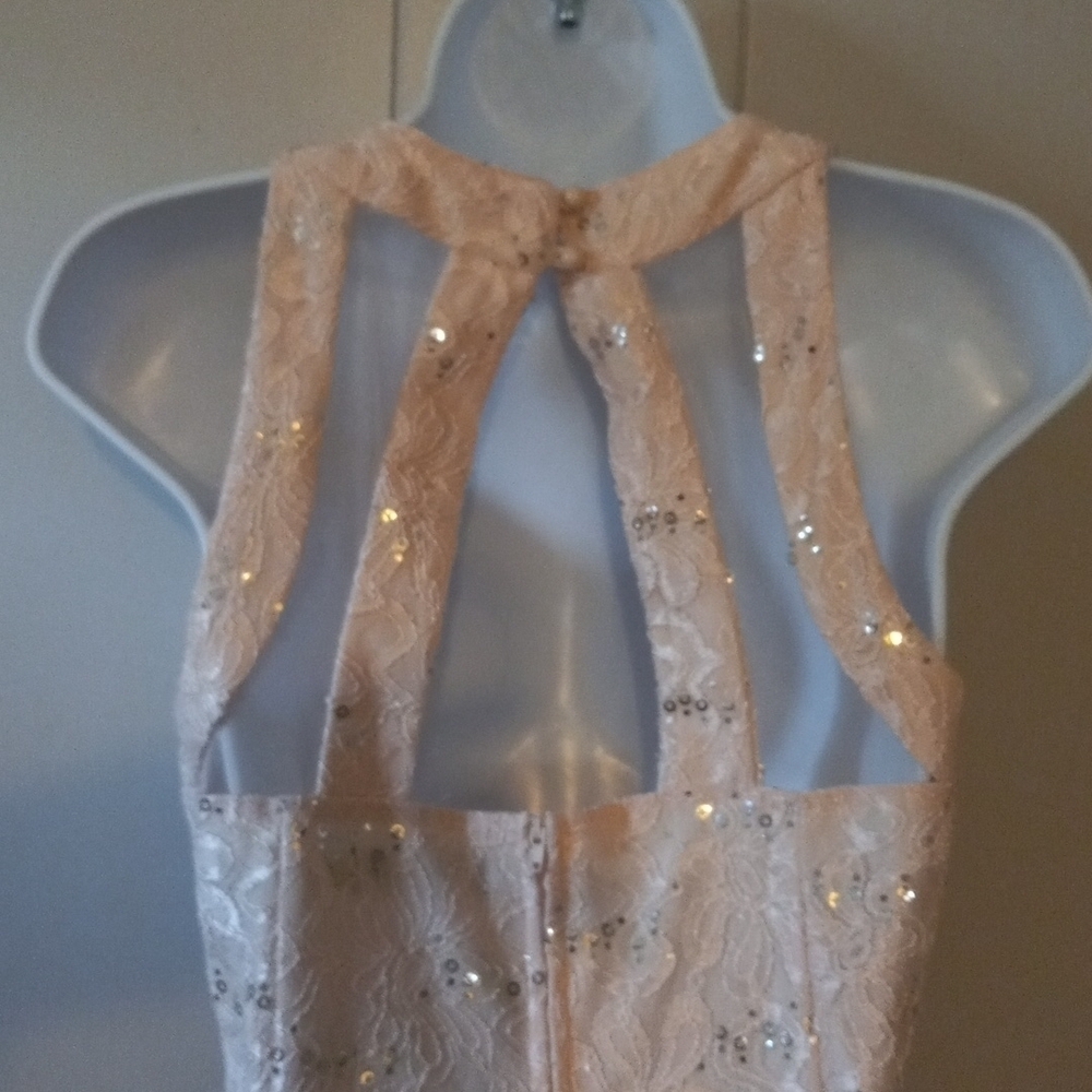 Crystal Doll pink cutout sequined lace dress in size 3. - Picture 6 of 8